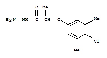 302949-31-1 structure